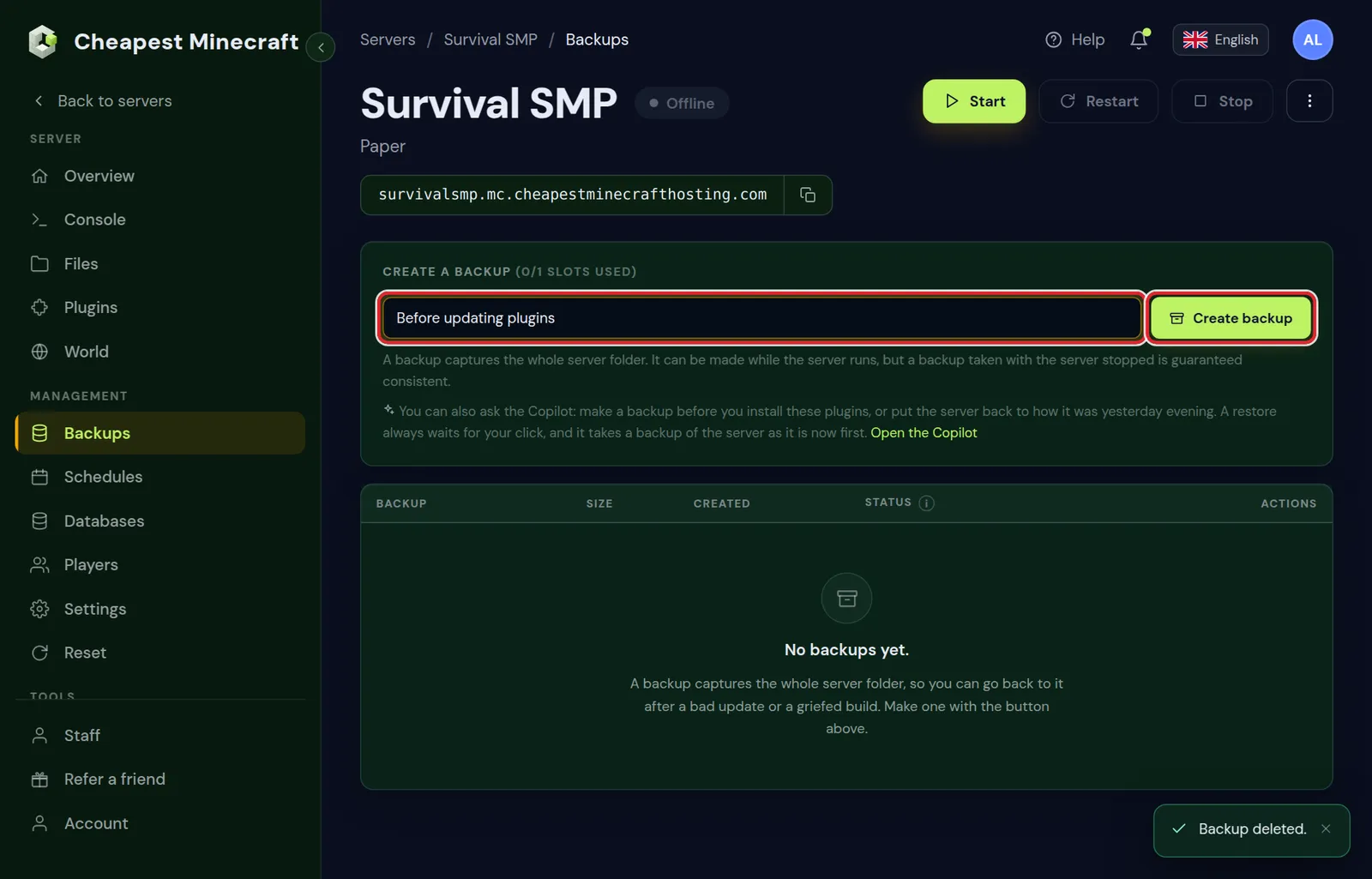 The Backups tab of the control panel with the backup name Before updating plugins typed in and the Create backup button