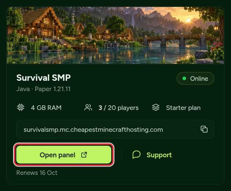 A server card in the client area with the play address, the Open panel button and the Support button