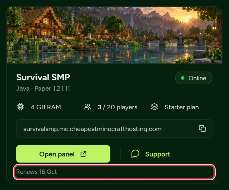A server card on the client area dashboard with the plan name and the text Renews 16 Oct