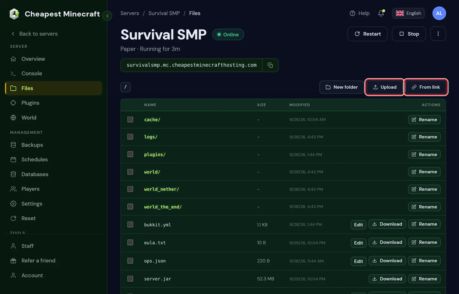 The top folder of the server in the Files tab with folders such as logs, plugins and world, and the New folder, Upload and From link buttons